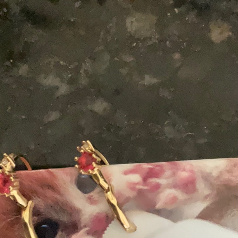 Gold and Red Delicate Earrings